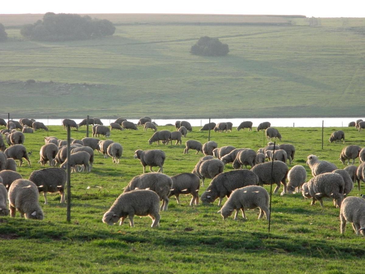 La Vista Farm Stay إرميلو المظهر الخارجي الصورة